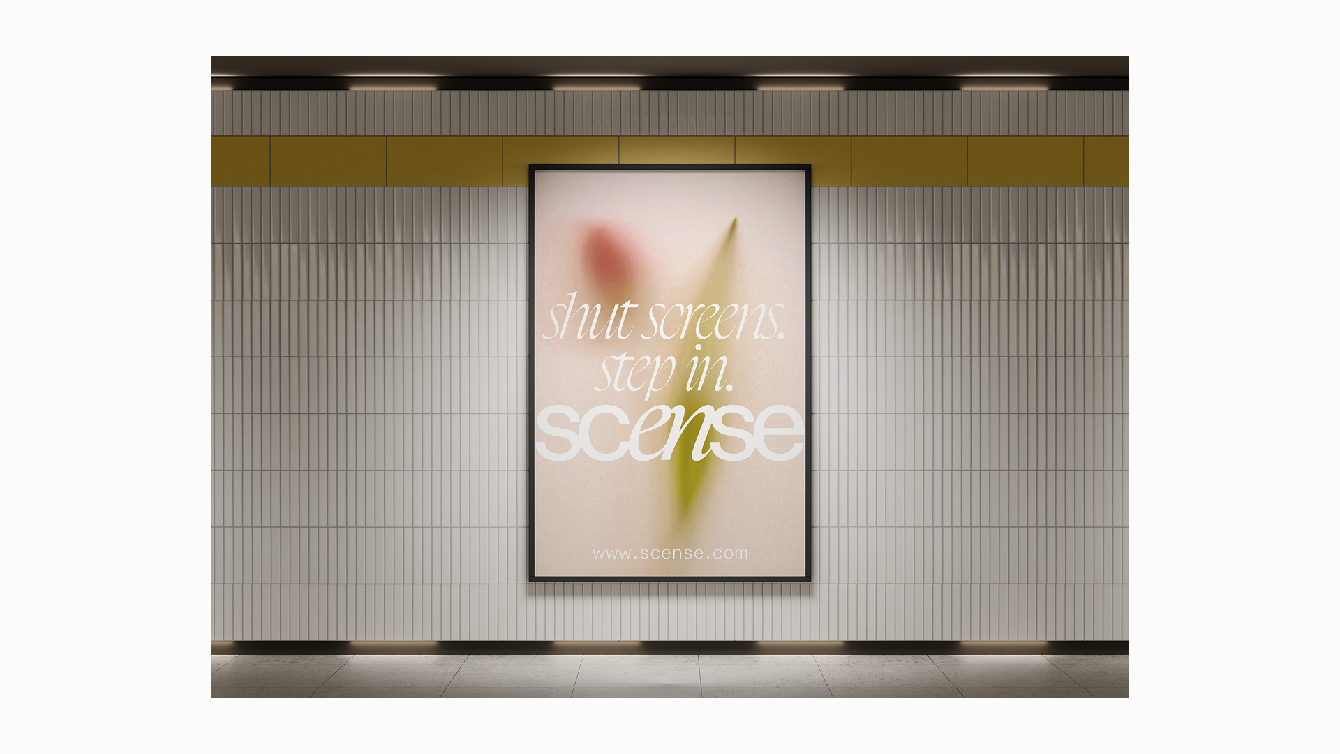 scense touchpoints